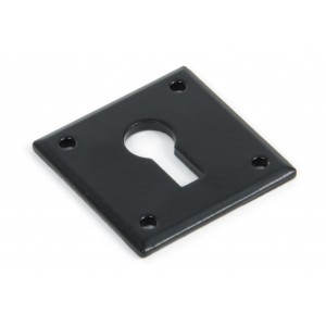 From The Anvil - Black Avon Escutcheon 83657