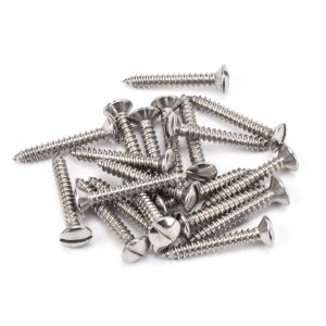 From The Anvil - Stainless Steel 6 x 1" Countersunk Raised Head Screws (25) 92311