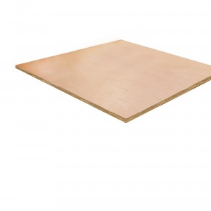 Cheshire Mouldings Plywood 1220x1220x12mm Pack QTY 1 [PLY34]