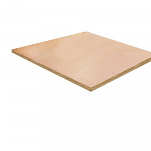 Cheshire Mouldings Plywood 1220x1220x18mm Pack QTY 1 [PLY40]