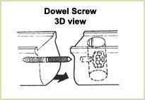 dowel screw 3D view